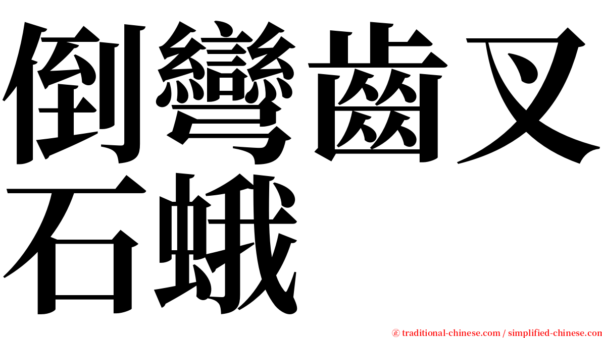 倒彎齒叉石蛾 serif font