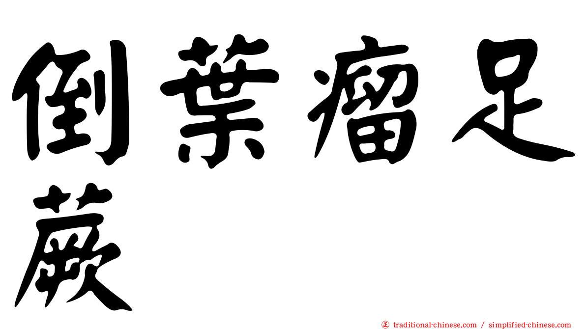 倒葉瘤足蕨