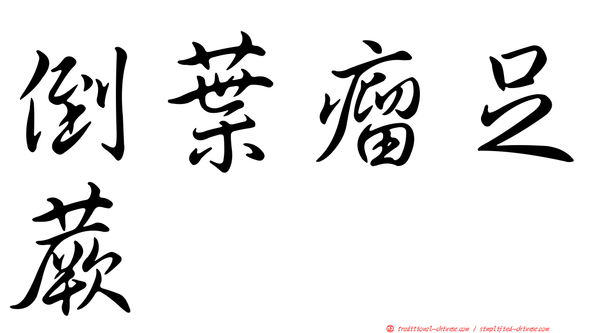 倒葉瘤足蕨