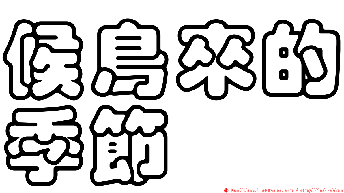 候鳥來的季節