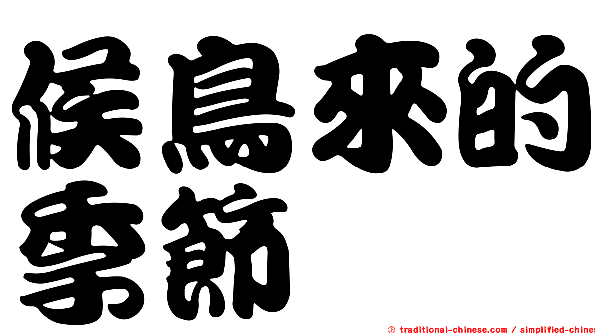 候鳥來的季節