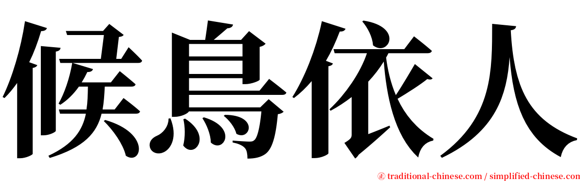 候鳥依人 serif font