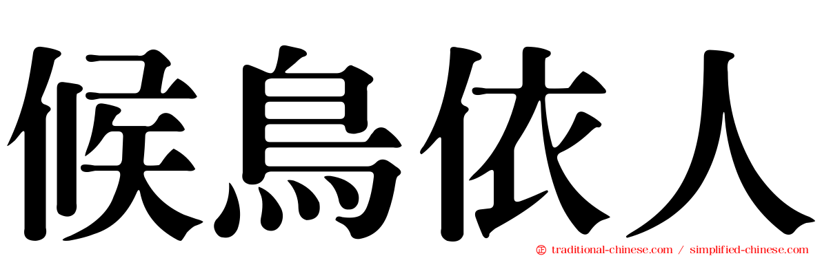 候鳥依人