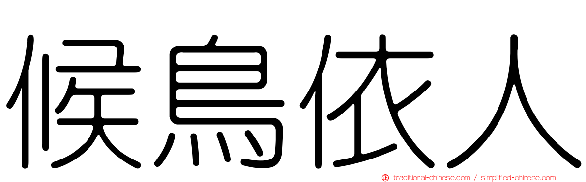 候鳥依人
