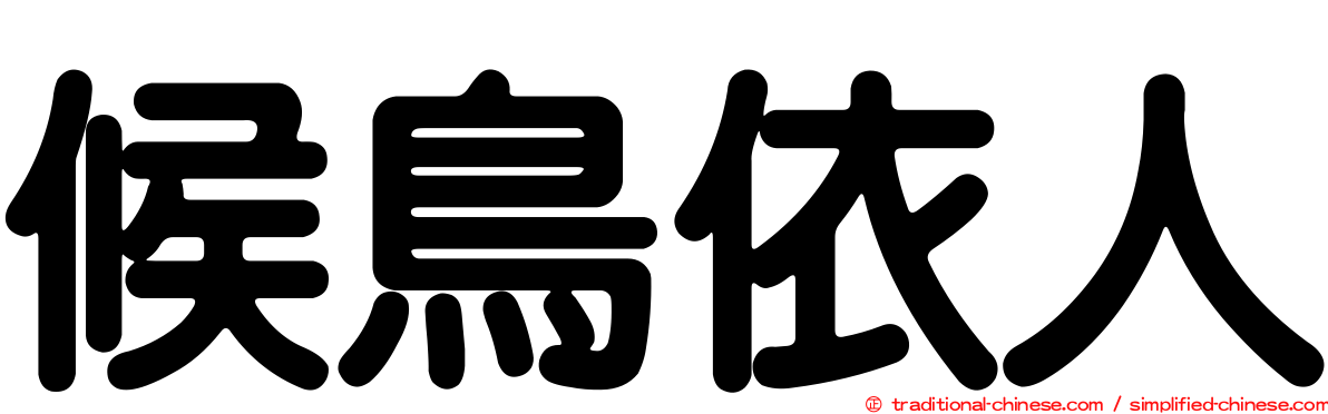候鳥依人
