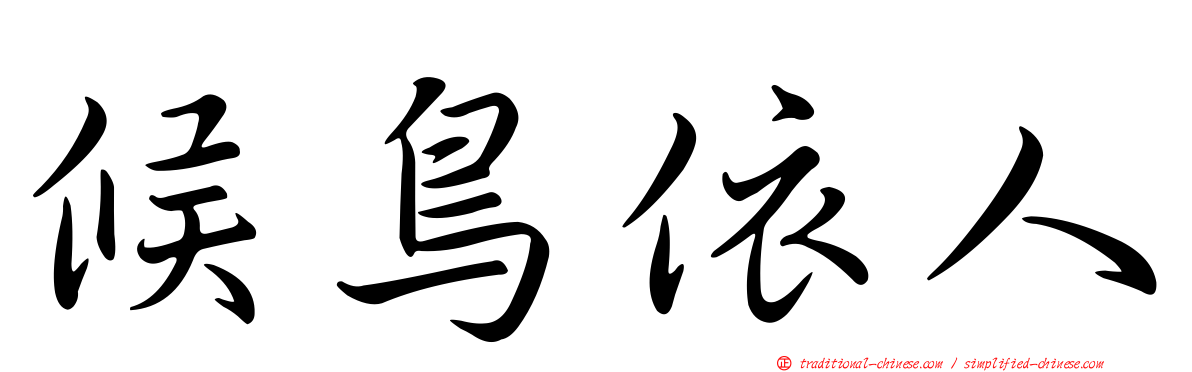 候鳥依人