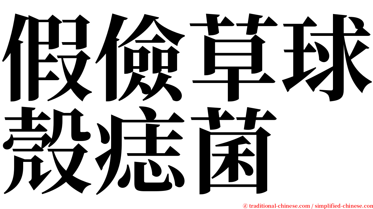 假儉草球殼痣菌 serif font