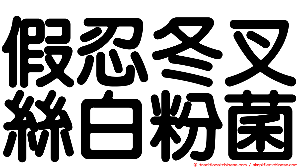 假忍冬叉絲白粉菌