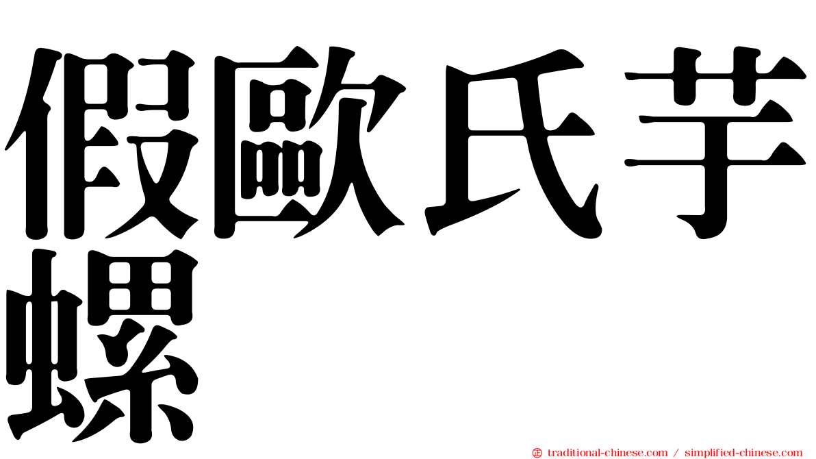 假歐氏芋螺