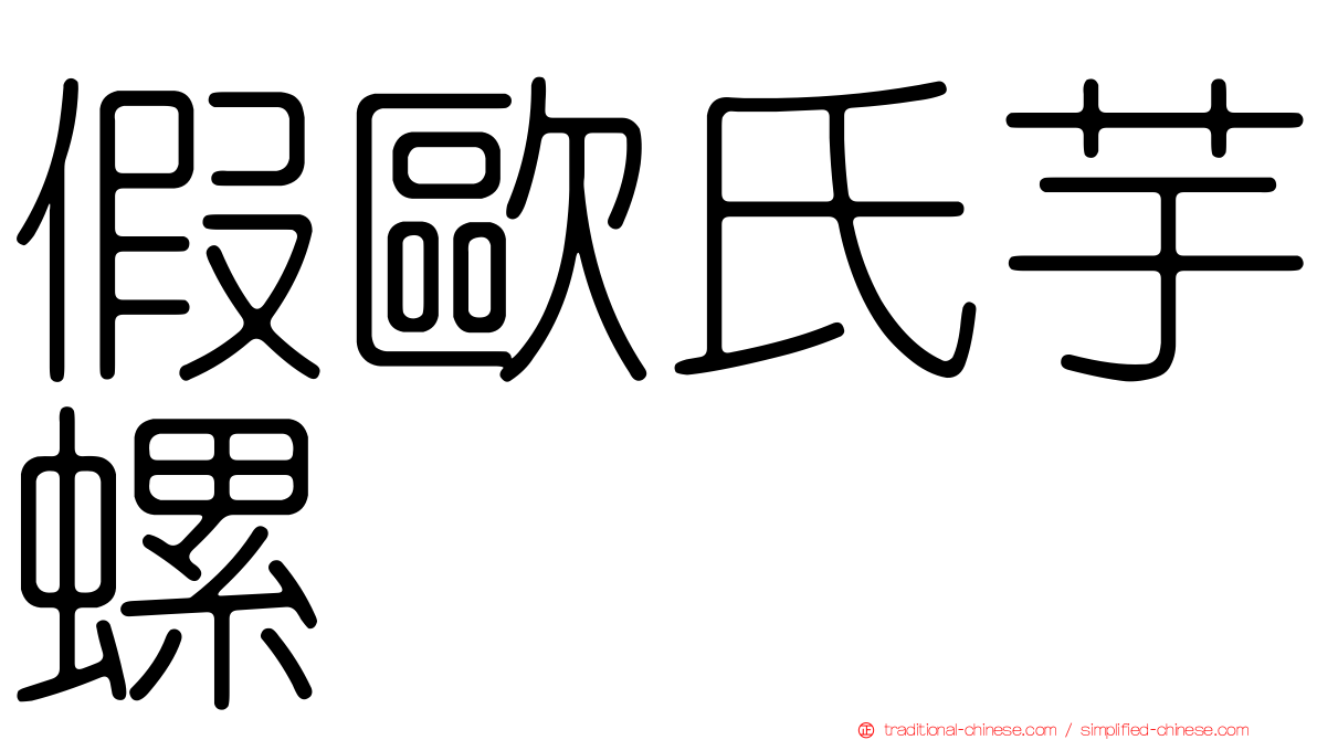假歐氏芋螺