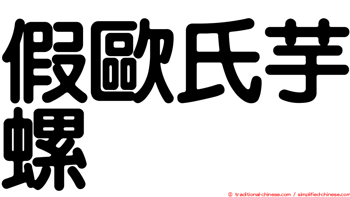 假歐氏芋螺