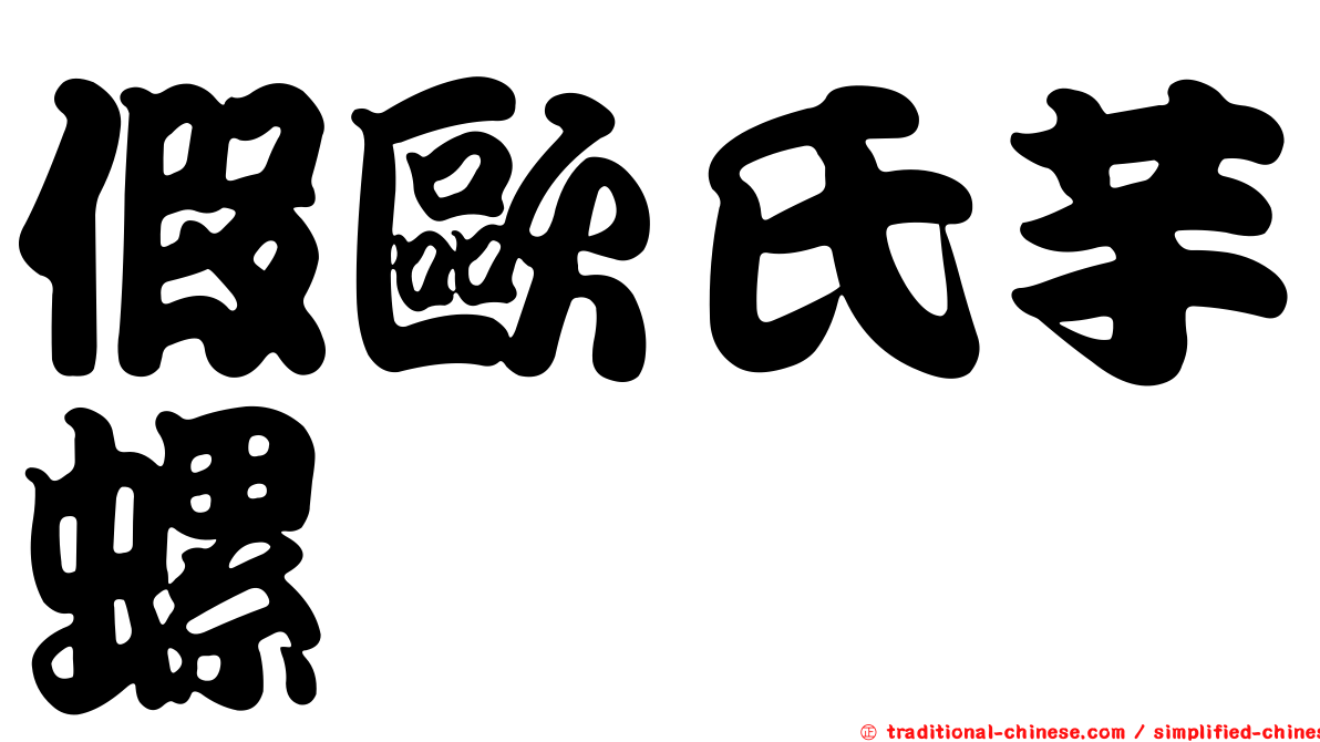 假歐氏芋螺