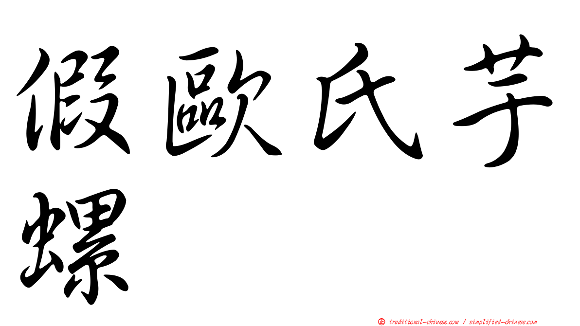 假歐氏芋螺