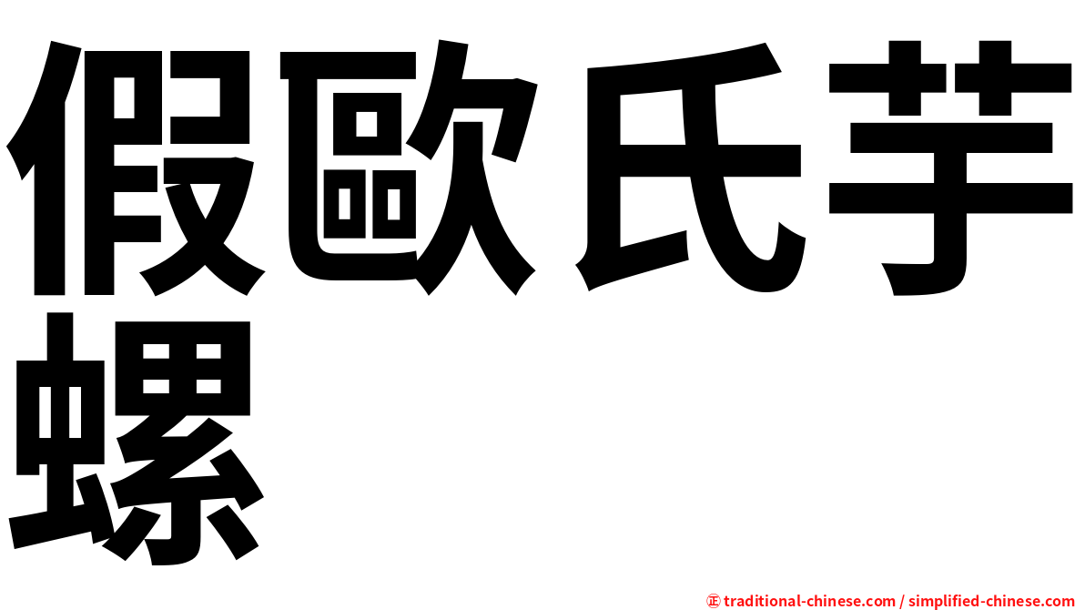 假歐氏芋螺