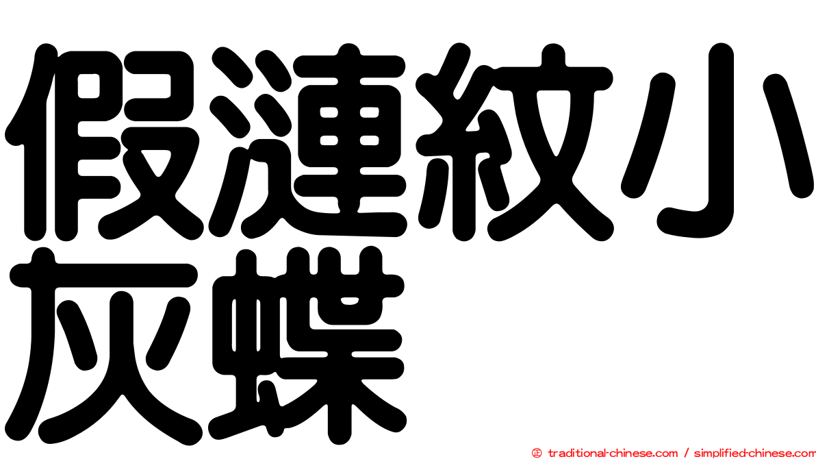 假漣紋小灰蝶