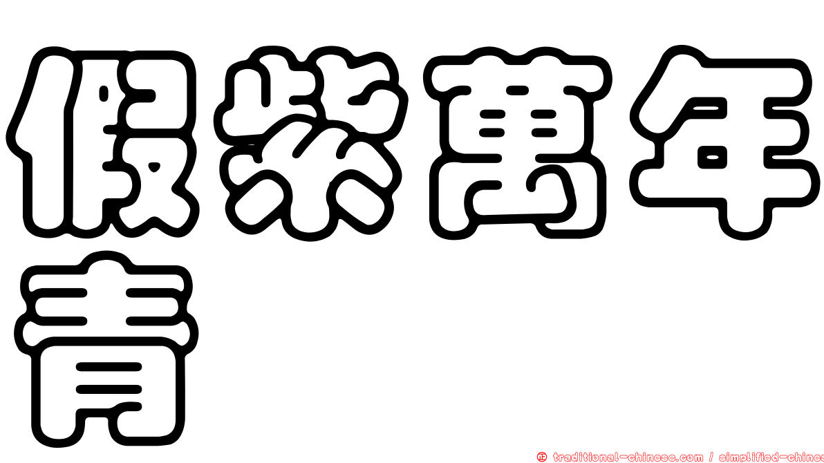 假紫萬年青