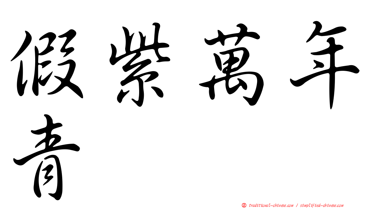 假紫萬年青