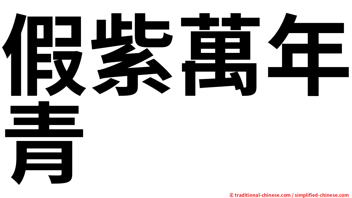 假紫萬年青