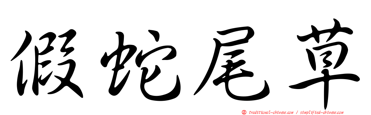 假蛇尾草