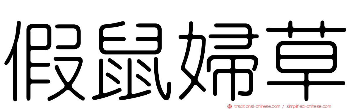 假鼠婦草