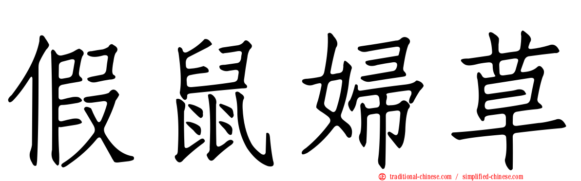 假鼠婦草