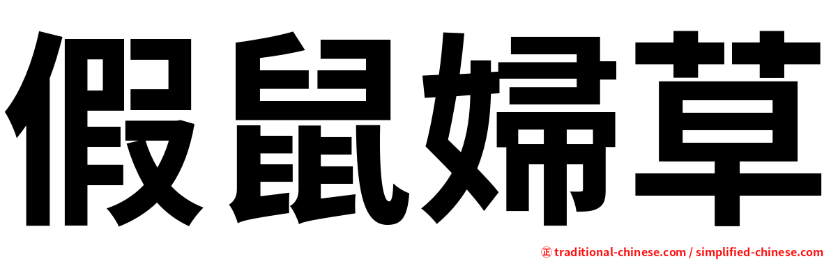 假鼠婦草