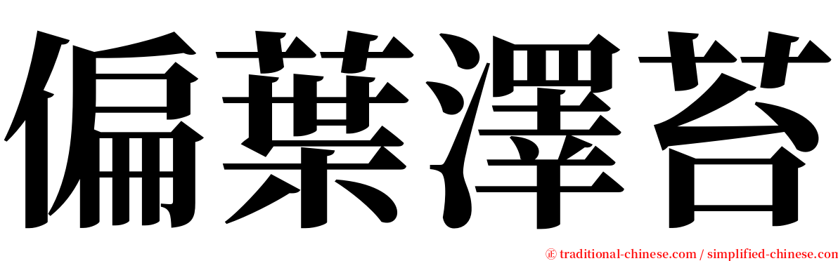 偏葉澤苔 serif font