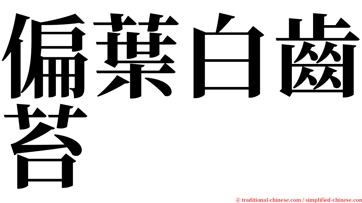 偏葉白齒苔 serif font