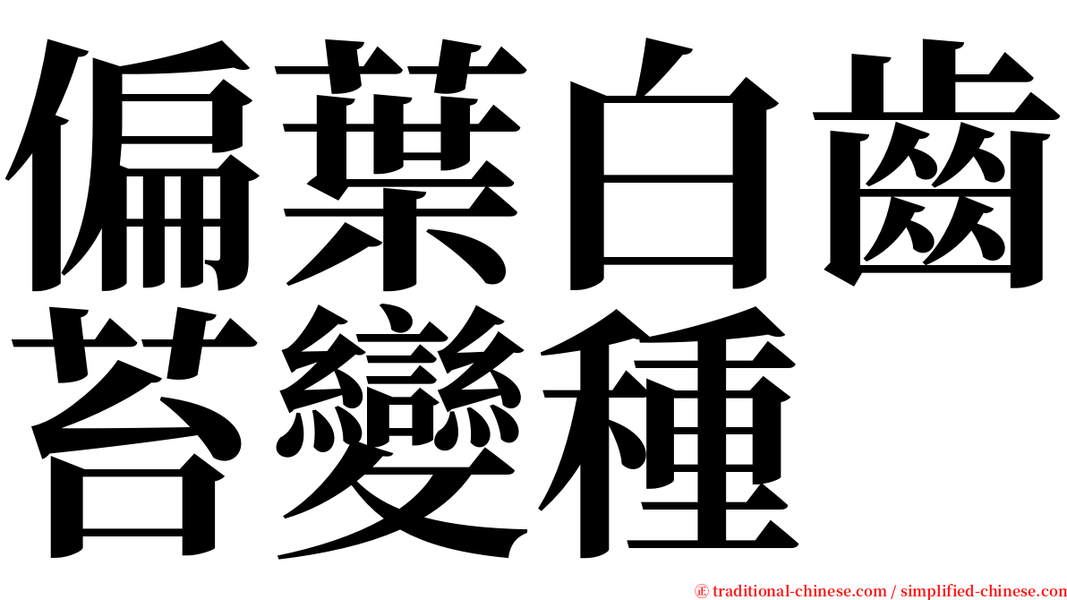 偏葉白齒苔變種 serif font