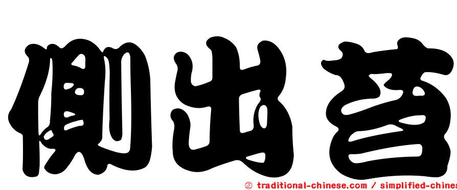 側出苔