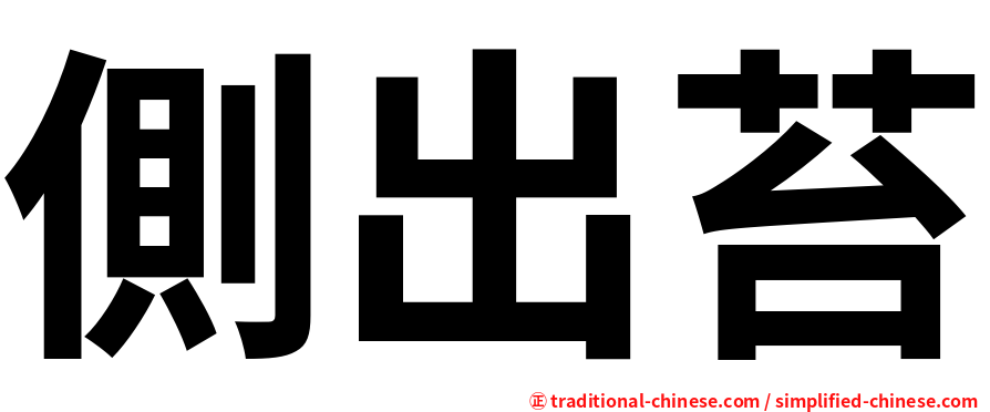 側出苔