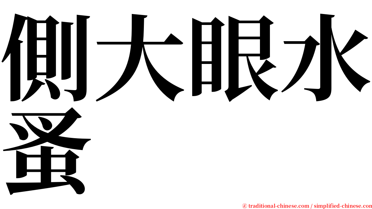 側大眼水蚤 serif font