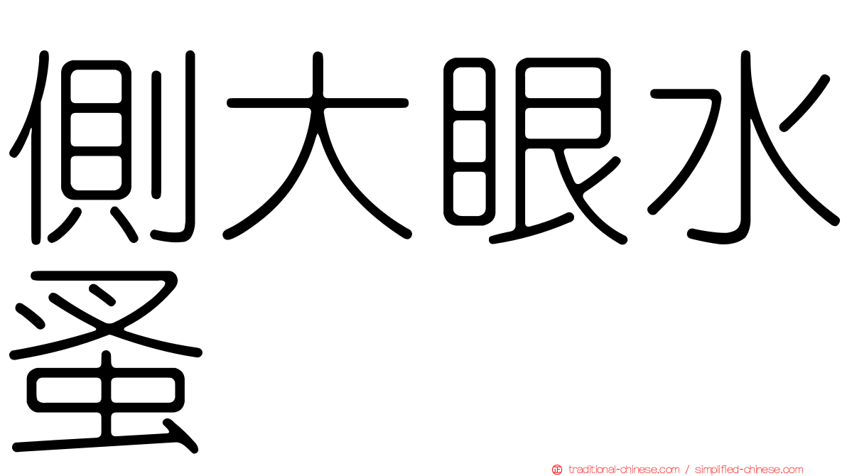 側大眼水蚤