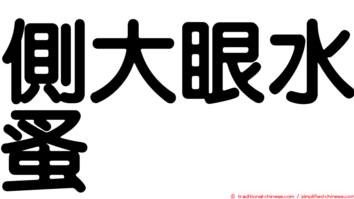 側大眼水蚤