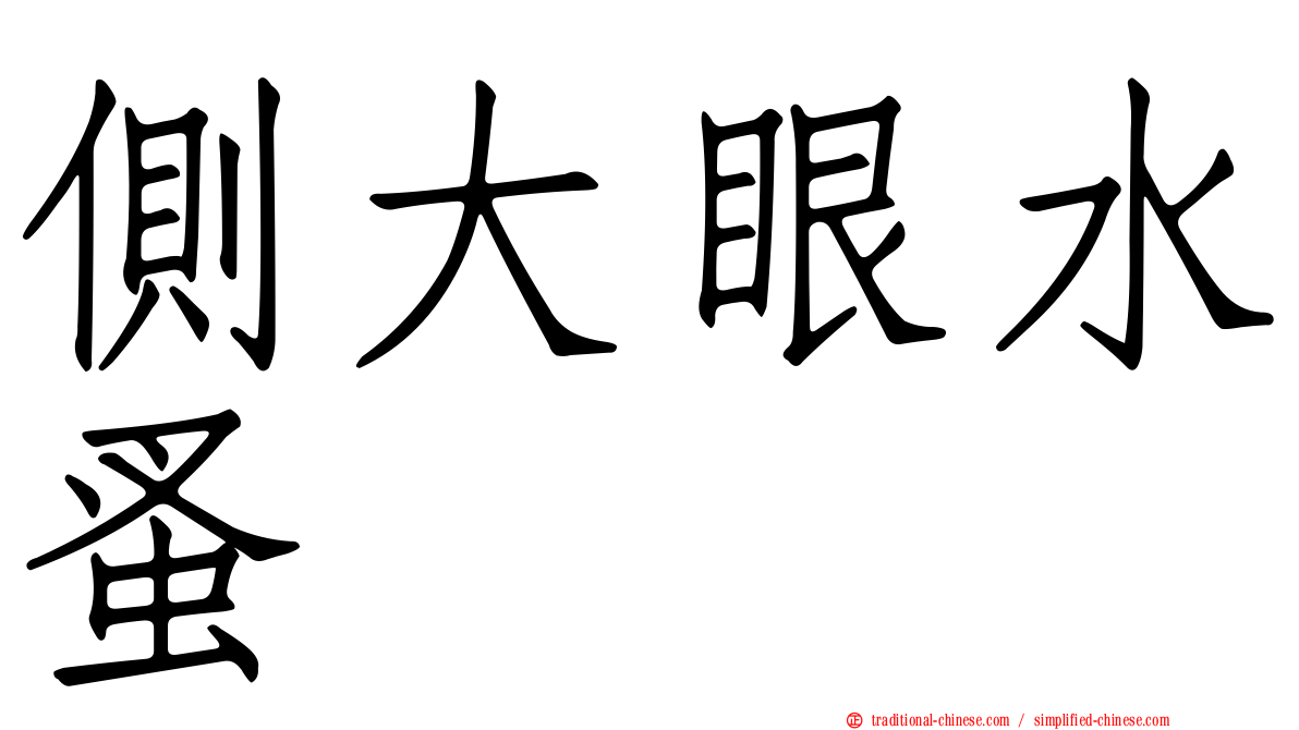 側大眼水蚤