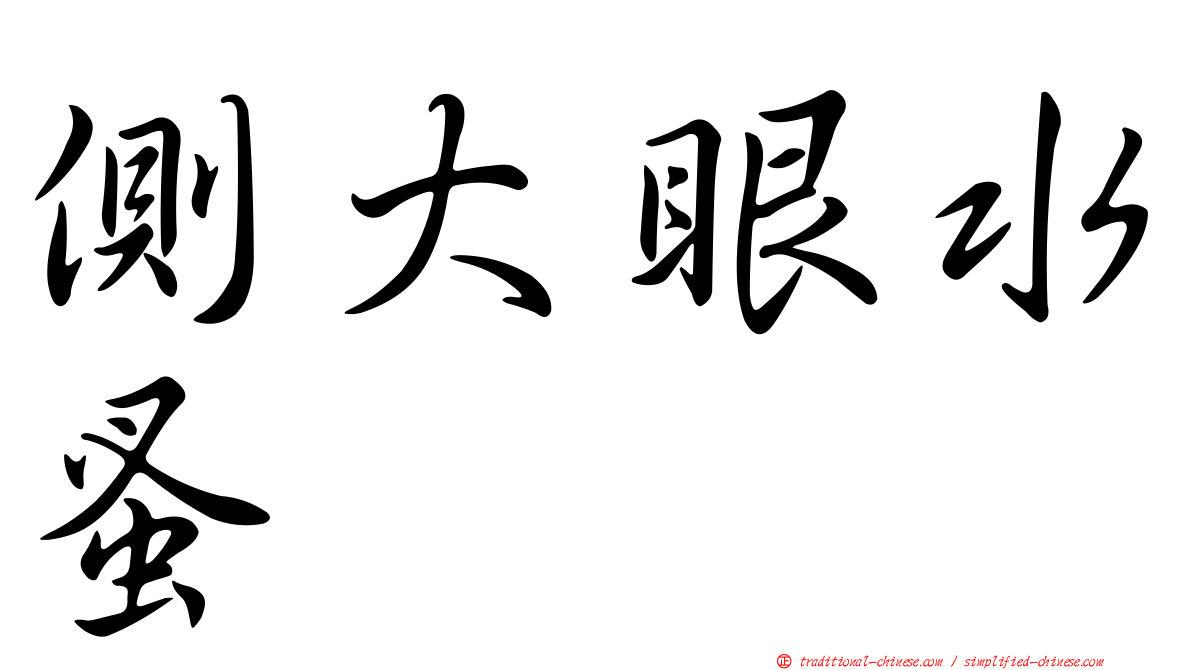 側大眼水蚤