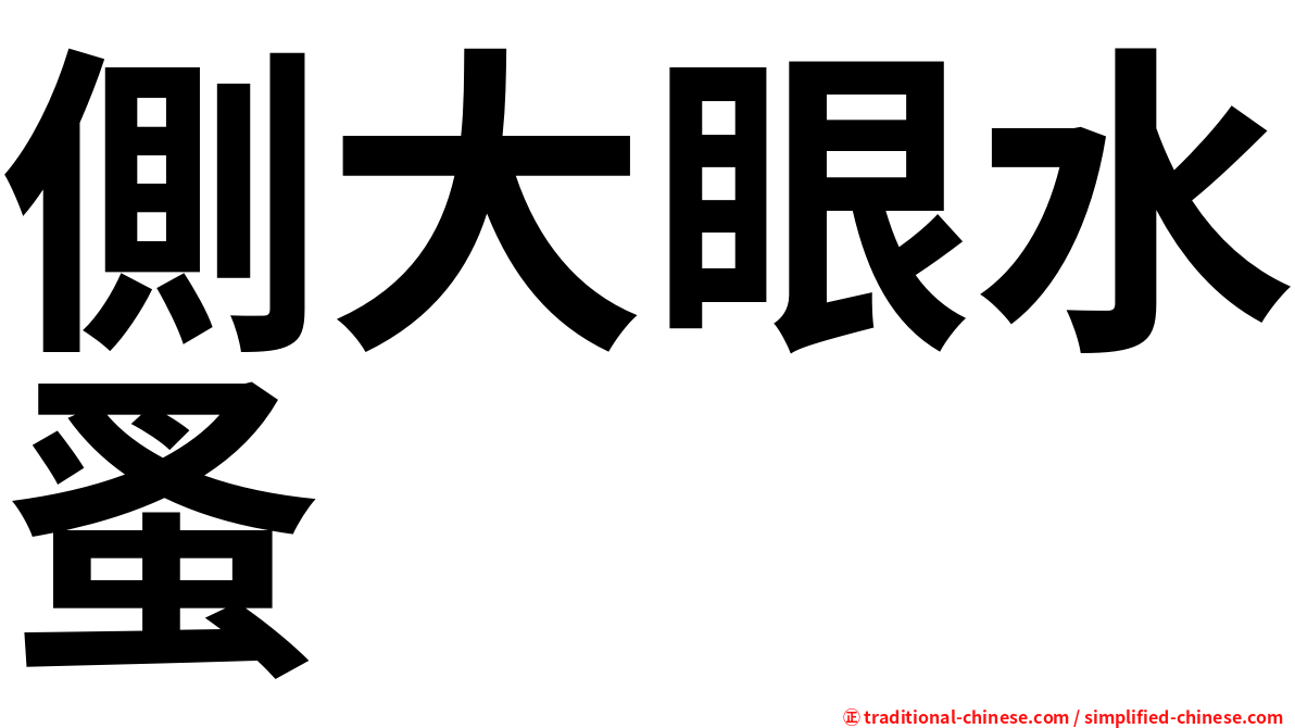 側大眼水蚤