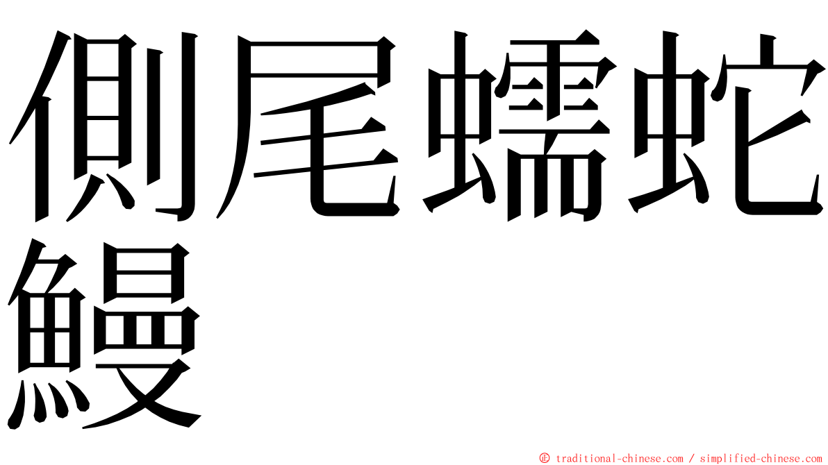 側尾蠕蛇鰻 ming font