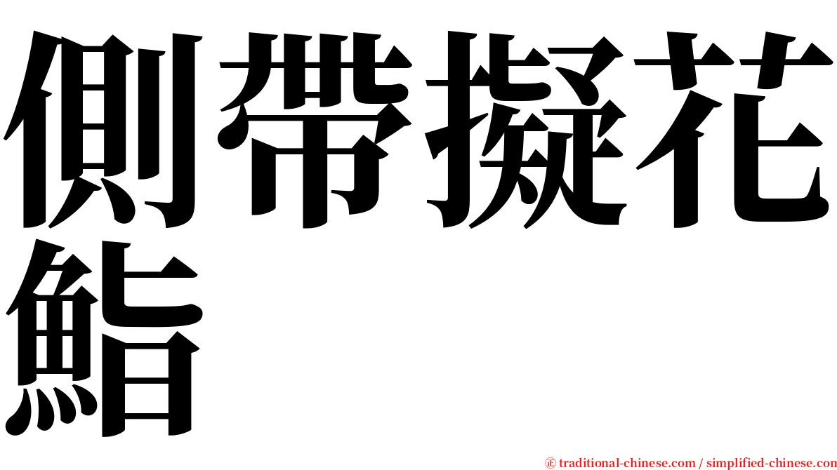 側帶擬花鮨 serif font