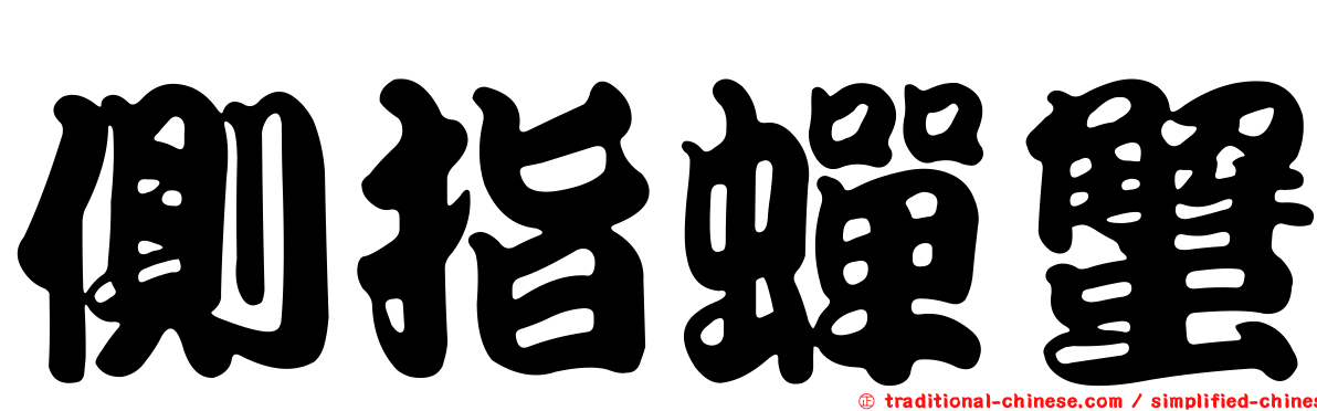 側指蟬蟹