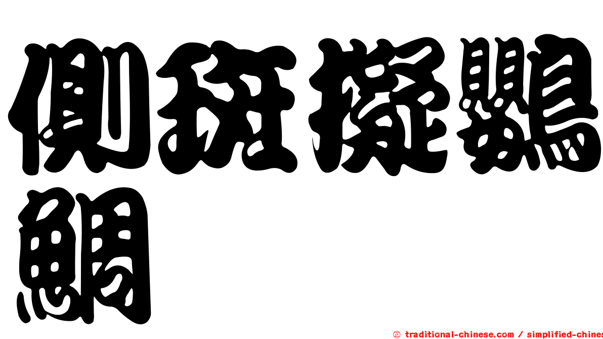 側斑擬鸚鯛