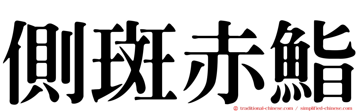側斑赤鮨