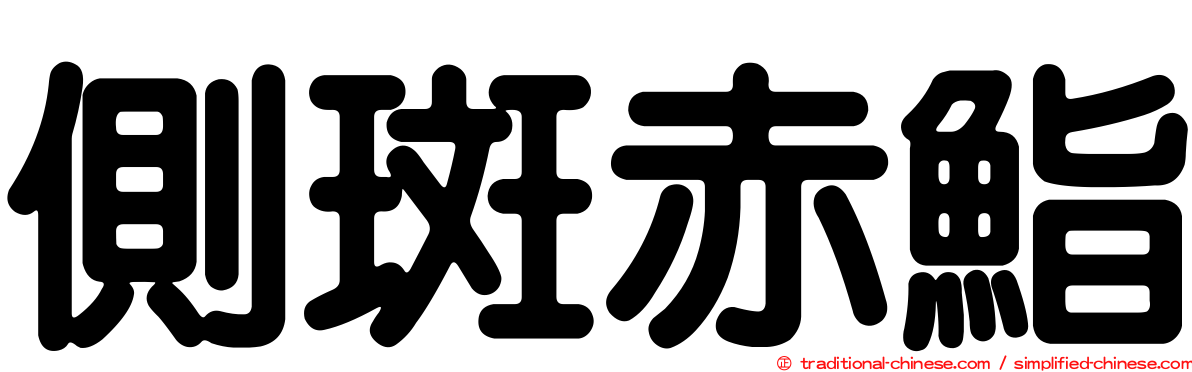 側斑赤鮨