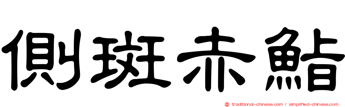 側斑赤鮨