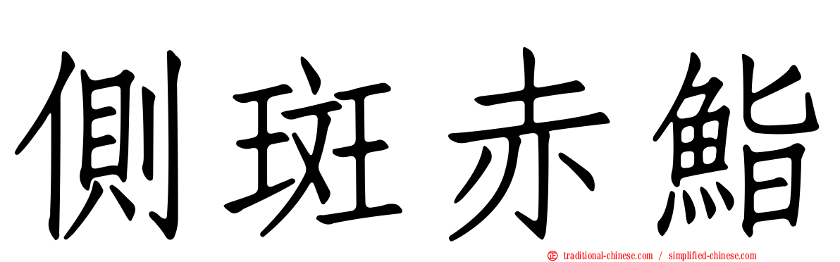側斑赤鮨
