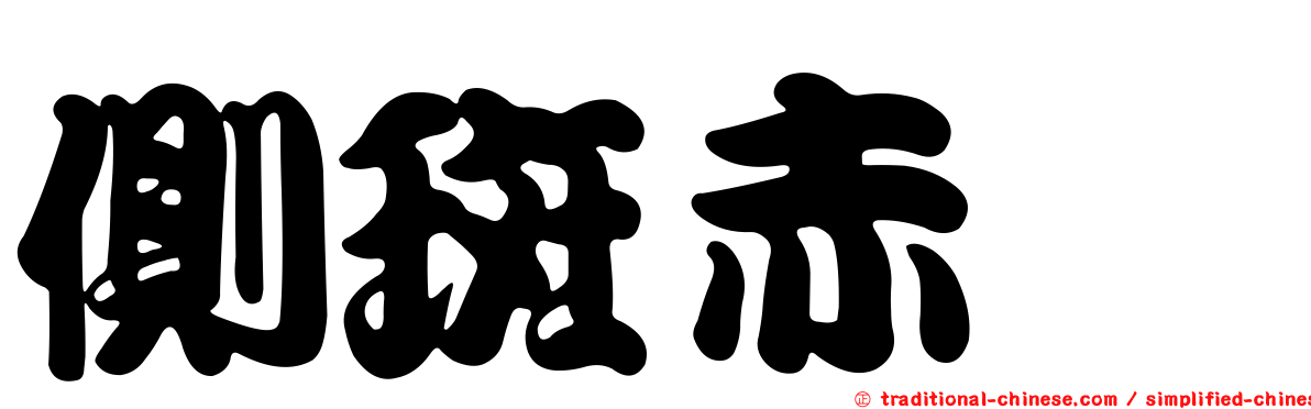 側斑赤鮨
