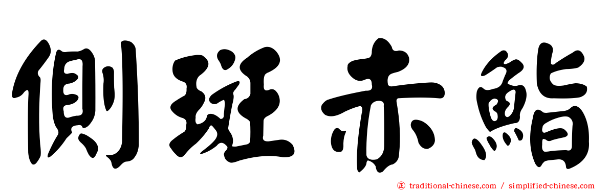 側斑赤鮨