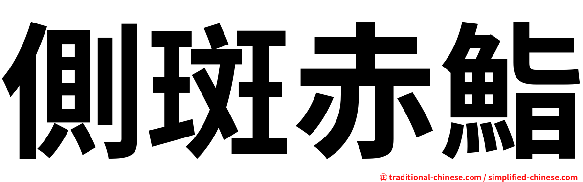 側斑赤鮨