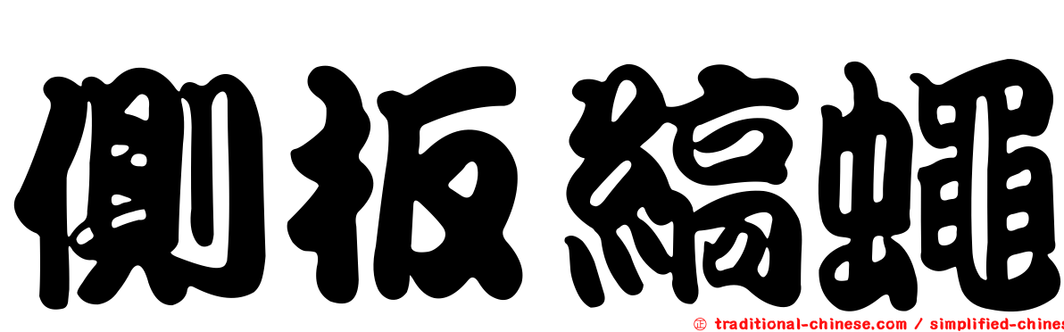 側板縞蠅