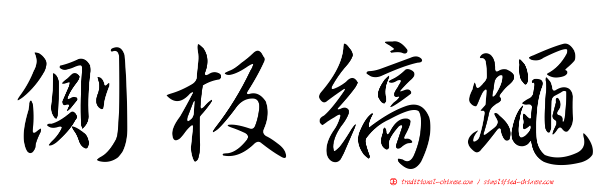 側板縞蠅